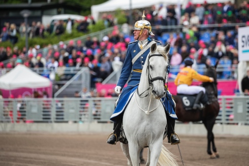 Förridare med stil. Mats Holmstedt och Nisse arbetade sin sista elitloppshelg i maj tillsammans. På onsdag hoppas Holmstedt vinna lopp på Solvalla som kusk. Foto: Lars Jakobsson, TR Bild 